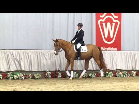 32 Viviano  Wallach v. Vitalis - Rubens du Ri d'Asse