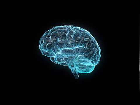 3D Brain Anatomy Rotation alpha black chroma key