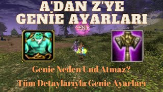 Genie Ayarları | Karakterlere Özel Bilgiler | Püf Noktalar