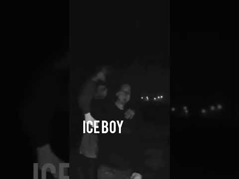 Msr x Pestek - ICEBOY (Ref.Bartass)