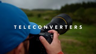 Video thumbnail for Nikon School: Using teleconverters for bird photography by Nikon Europe