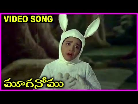 Mooga Nomu - Telugu Super Hit Video Song -  ANR , Jamuna