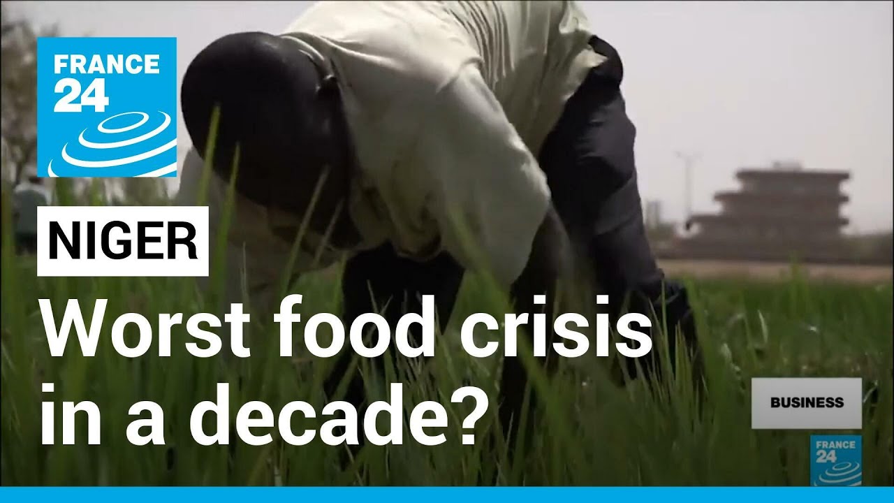 Niger could face worst food crisis in a decade • FRANCE 24 English