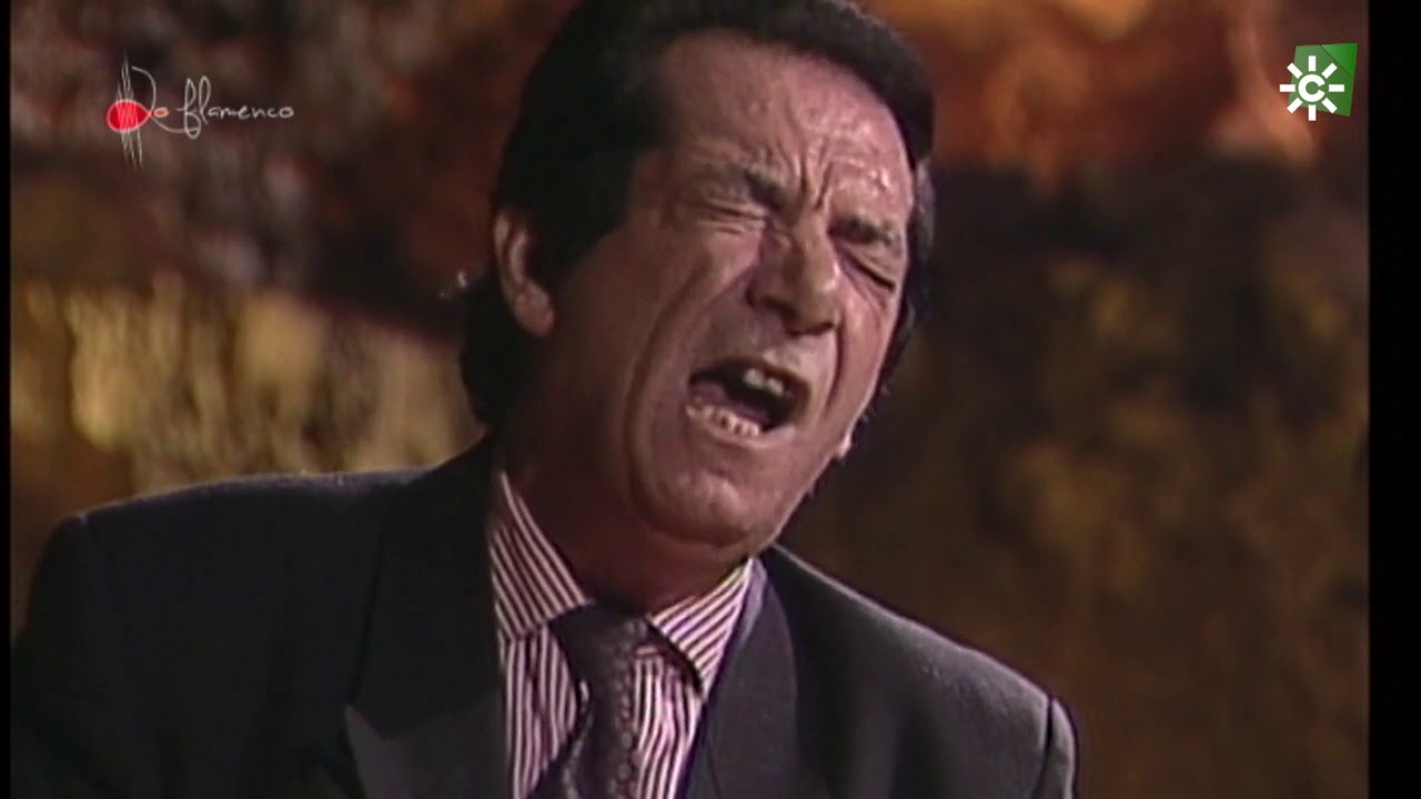 Fandangos. Paco Toronjo. 1991