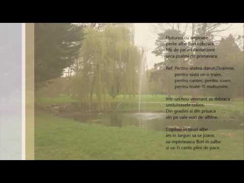 Fluturasi cu aripioare - Nicolae Moldoveanu