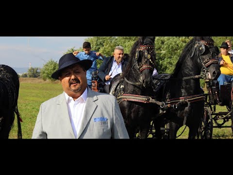 Grófo x Gyémi - Elküldöm az asszonyt - Official ZGStudio video