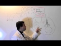 COPD: Lung damage from smoking 