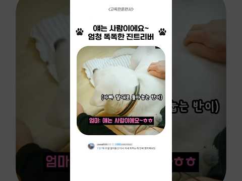 너무 똑똑해서 사람 같다는 진트리버 ㅋㅋ #shorts