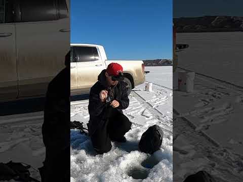 Ice Fishing Beauty Walleyes - 24 Hours Challenge