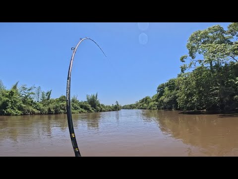 Fishing, pacu, piau and piapara, so many fish! I didn't expect this in this river!!!
