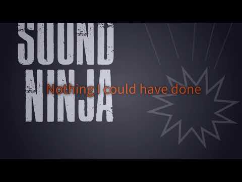 The Sound Ninja - You Knocked Me Down