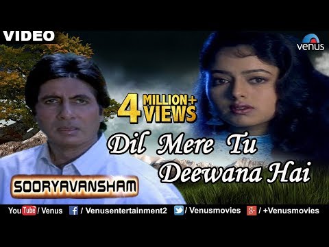Dil Mere Tu Deewana Hai — watch video