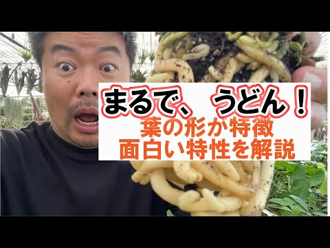 Nuvola アプリ教育サイエンス.svg