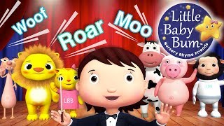 Learn with Little Baby Bum  Animals Sounds Song  N