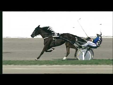 Napoli Trotto 23/10/2022 - 1ª corsa