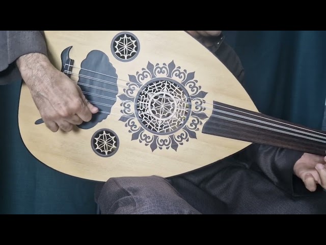 عود موسيقي رضا مرسي 10239