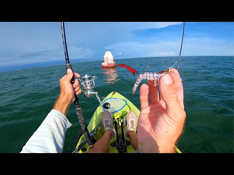 Catching Fish Around Bay Buoys - Exploring New Waters On The West Coast Of Florida