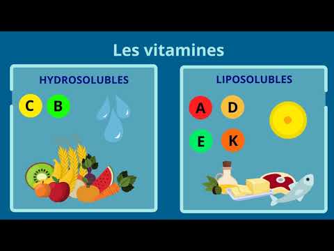 Bases de la nutrition - Les micronutriments