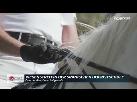 Da fliegen die Hufeisen tief: Riesenstreit bei Wiens Lipizzaner-Bereitern