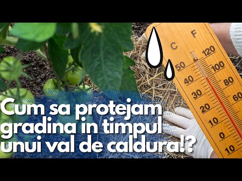 , title : 'Cum Sa Protejam Gradina In Timpul Unui Val De Caldura !?'