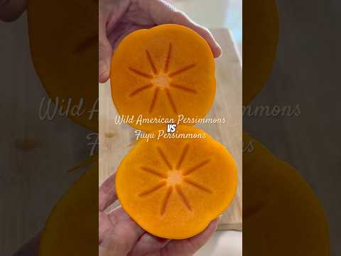 Wild American vs Fuyu PERSIMMONS