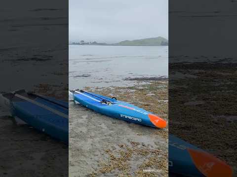 Foggy day #surfski #paddleboard #fog #newzealand