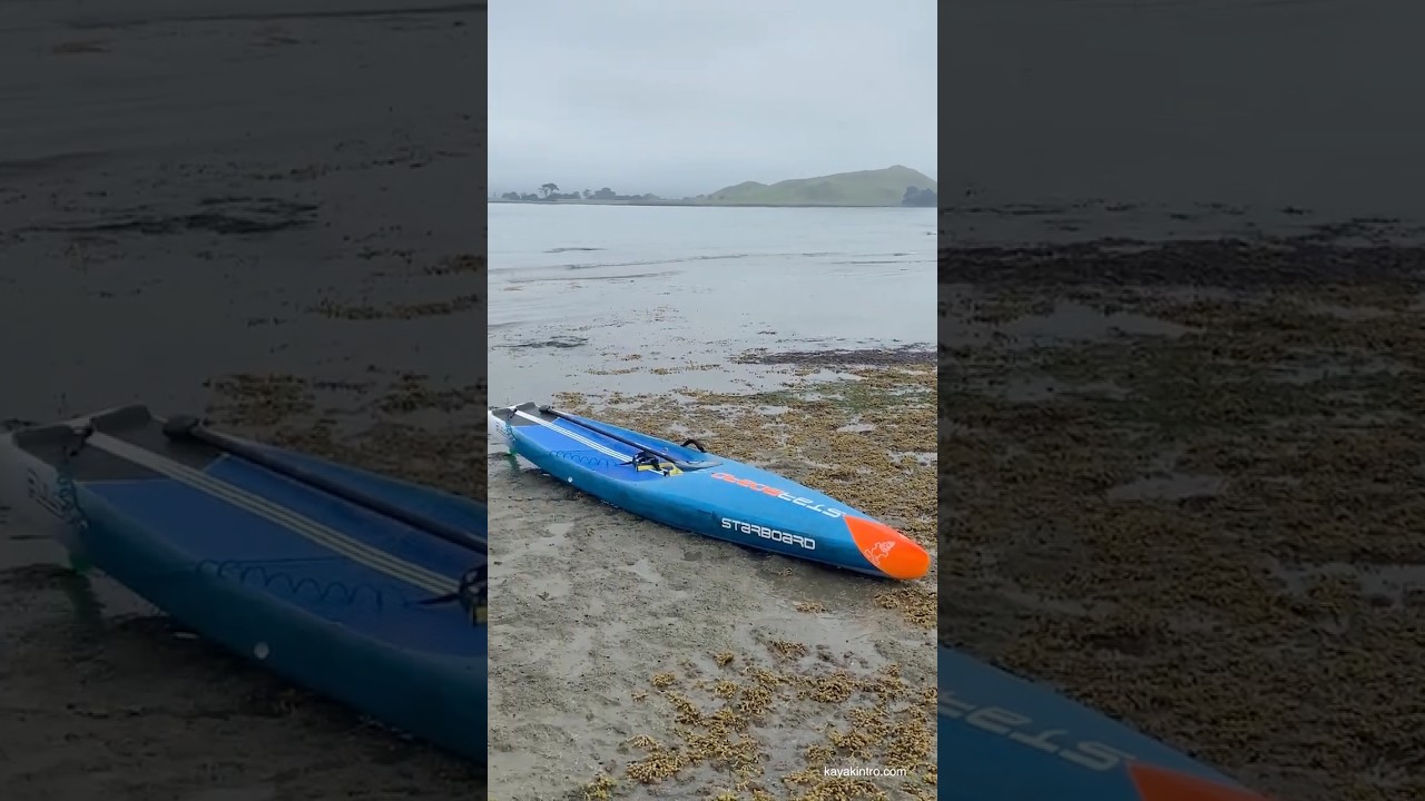 Foggy day #surfski #paddleboard #fog #newzealand