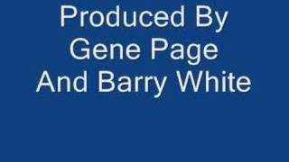 All Our Dreams Are Coming True