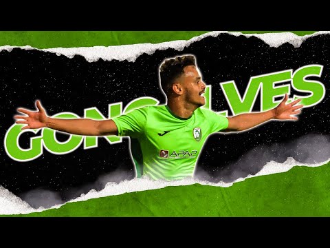 HARAAN GONÇALVES ► Best Skills, Goals & Assists (HD) 2023
