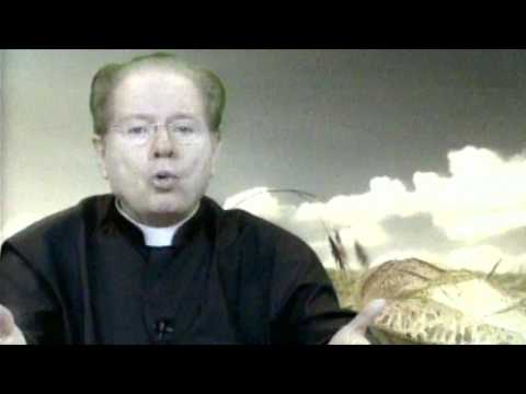 O Pão Nosso  8 Julho 2016    -     Pe. Pe. F.C.Cardoso