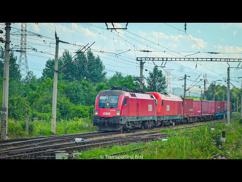 Concert de goarne \horns concert