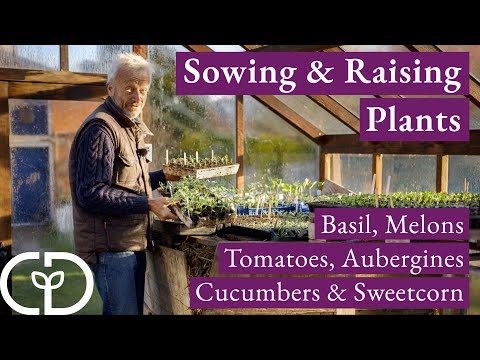 Sowing for Summer, warmth loving vegetables and flowers