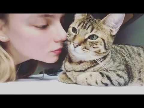 Anya Taylor-Joy“Cuteness overload 😍🐈❤️”
