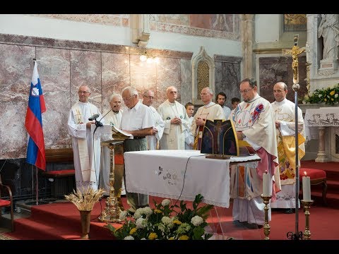 Uvod v srebrno mašo