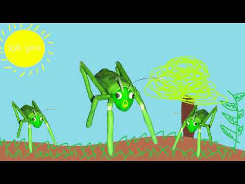 Konkurs plastelinowy Xayoo - pasikonik przemowa