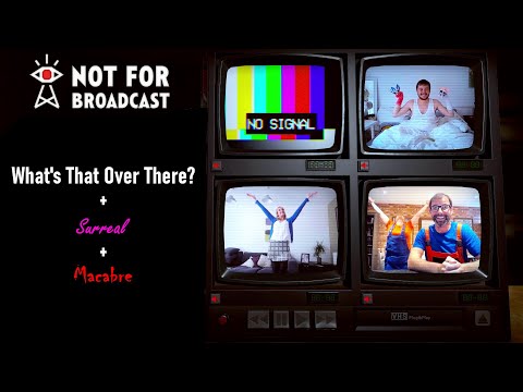Not For Broadcast - Mr Bear Whats That Over There - Misc Computer Games