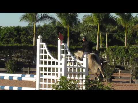 Ham and Sam - 1st schooling jumper class 012214 WEF 3