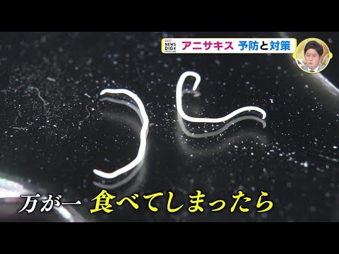 嫌だけど本当:だから魚の缶詰に寄生虫がいるのは良い兆候だ