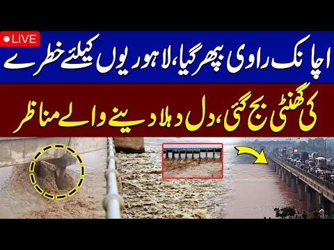 LIVE 🚨 Ravi River Flood Update | Lahore on High Alert | Punjab Flood Situation | SAMAA TV