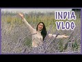 Surprising My Family Friends India Vlog 2020 Kreena Desai