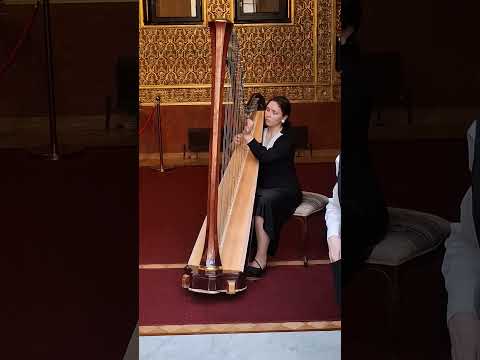 Арфа в Опера Санкт-Петербург/Harp at the St. Petersburg Chamber Opera