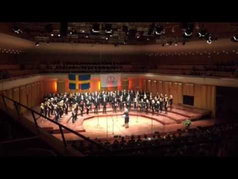 The Tiger. Emil Råberg.