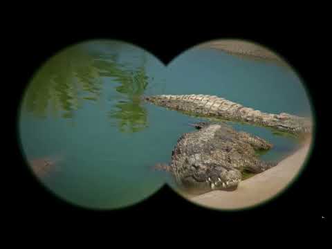 ROBERT MAKŁOWICZ - Forfiter