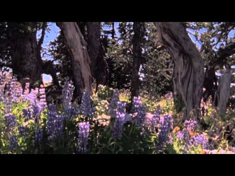 Hilal Kinderchor - Die Jahreszeiten