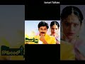 25 Years For Musical Hit Gokulamlo Seetha Pawan Kalyan Raasi Shorts
