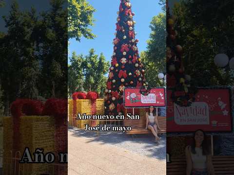 Año nuevo en San José de mayo #arbolitodenavidad #nuevoaño 2026 ✨