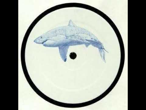 Kyle HALL "Shark" -SNIPPET-