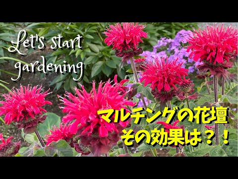 夏に家庭菜園にマルチングをするのが良いのはなぜですか?わらの選び方は？  庭園