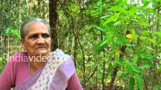 Thozhukanni - medicinal herb