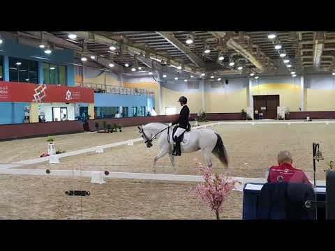 Ida Al Forsan Novice First place 23.11.2019